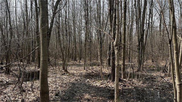 3222 Black Sea Rd, Dorset, OH 44032 - photo 27