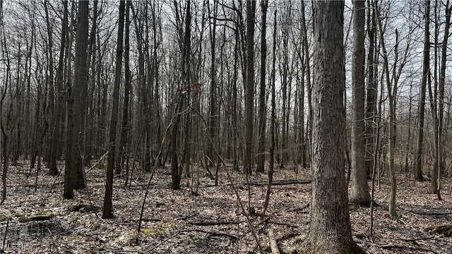 3222 Black Sea Rd, Dorset, OH 44032 - photo 28