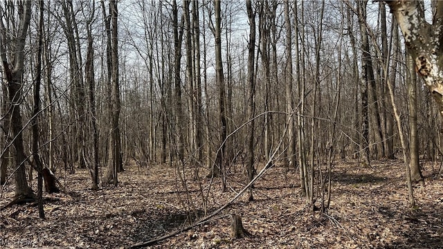 3222 Black Sea Rd, Dorset, OH 44032 - photo 29