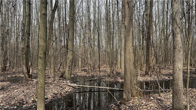 3222 Black Sea Rd, Dorset, OH 44032 - photo 20
