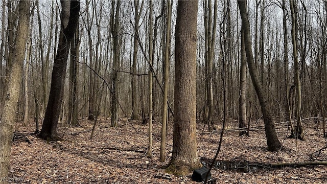 3222 Black Sea Rd, Dorset, OH 44032 - photo 21