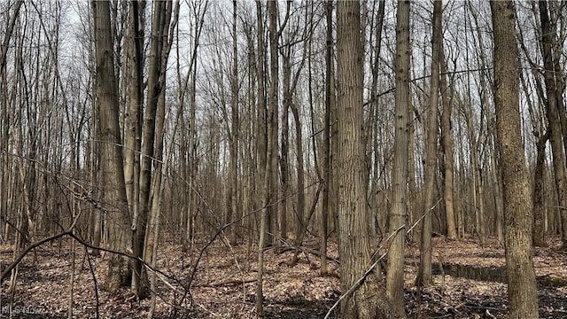3222 Black Sea Rd, Dorset, OH 44032 - photo 22