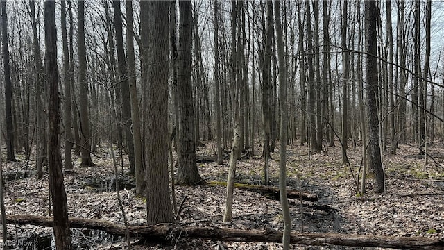 3222 Black Sea Rd, Dorset, OH 44032 - photo 23