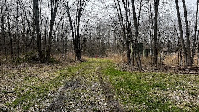 3222 Black Sea Rd, Dorset, OH 44032 - photo 1