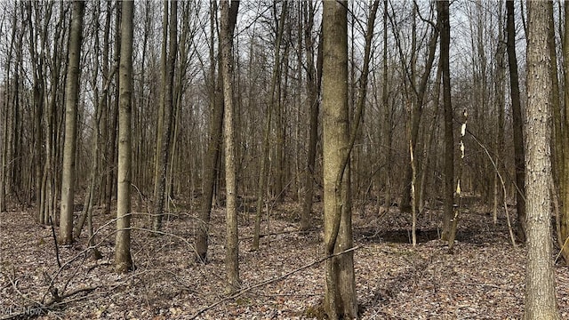 3222 Black Sea Rd, Dorset, OH 44032 - photo 4