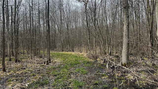 3222 Black Sea Rd, Dorset, OH 44032 - photo 10