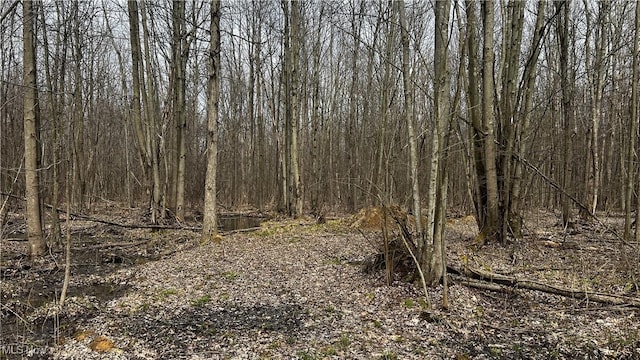 3222 Black Sea Rd, Dorset, OH 44032 - photo 13