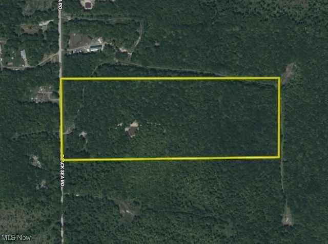 3222 Black Sea Rd, Dorset, OH 44032 - photo 42