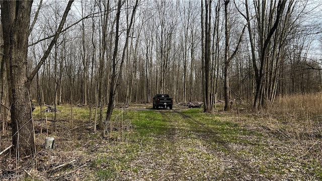 3222 Black Sea Rd, Dorset, OH 44032 - photo 37