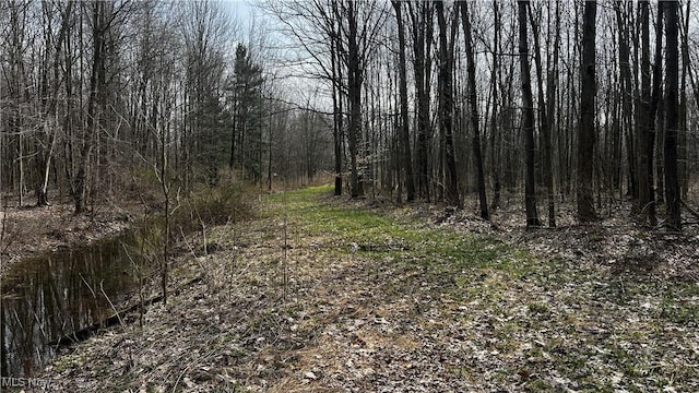 3222 Black Sea Rd, Dorset, OH 44032 - photo 38