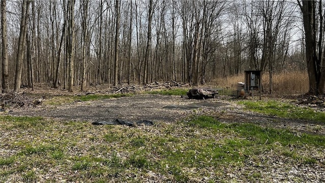 3222 Black Sea Rd, Dorset, OH 44032 - photo 39