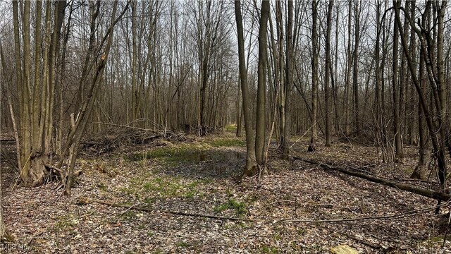 3222 Black Sea Rd, Dorset, OH 44032 - photo 40