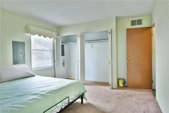 2741 Citadel Dr NE, Warren, OH 44483 - bedroom featuring multiple closets, electric panel, wallpapered walls, and carpet floors