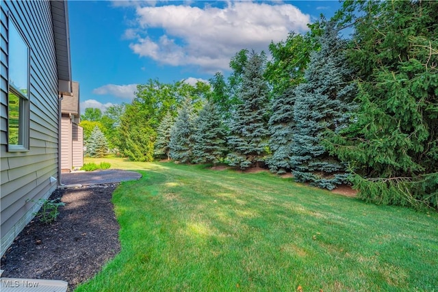 418 Kestral Way, Amherst, OH 44001 - photo 48