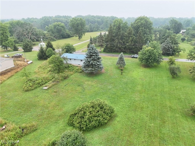 7269 Palmer Rd, West Salem, OH 44287 - photo 9
