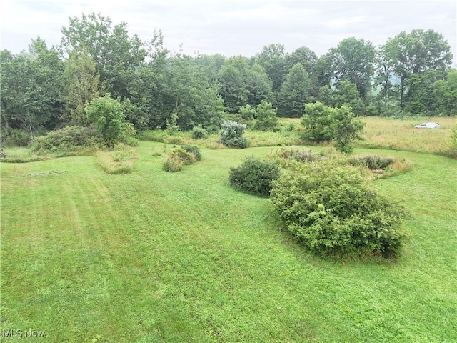7269 Palmer Rd, West Salem, OH 44287 - photo 12