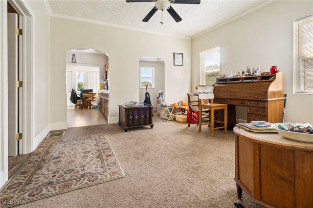 1642 N Park Ave NW, Canton, OH 44708 - photo 8