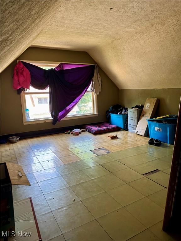 864 Delia Ave, Akron, OH 44320 - bonus room featuring plenty of natural light, a textured ceiling, and vaulted ceiling