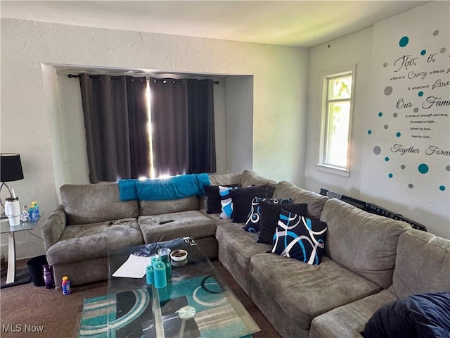 864 Delia Ave, Akron, OH 44320 - view of carpeted living area