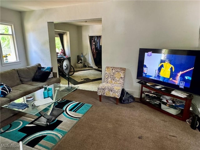 864 Delia Ave, Akron, OH 44320 - living room with carpet floors and plenty of natural light