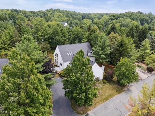 985 Goldenrod Trl, Aurora, OH 44202 - photo 46