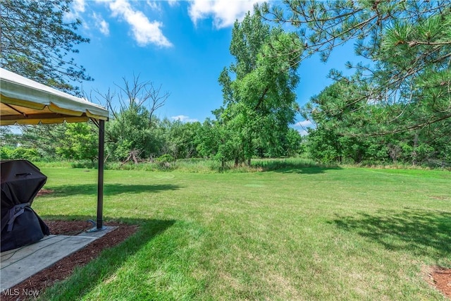 1168 N Jefferson St Unit 13, Medina, OH 44256 - photo 42