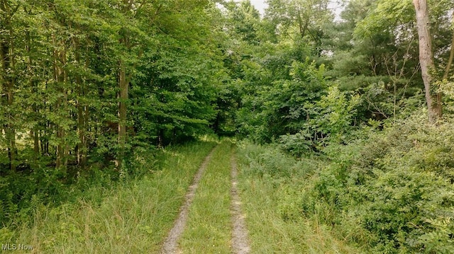 6604 W Middletown Rd, Canfield, OH 44406