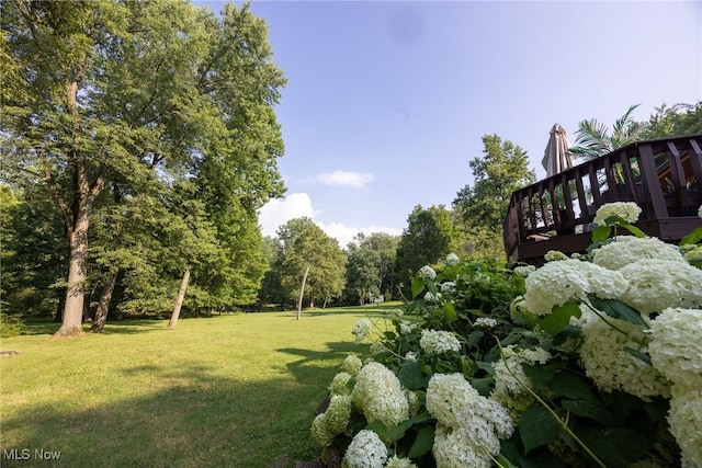 5241 Som Center Rd, Solon, OH 44139 - photo 48