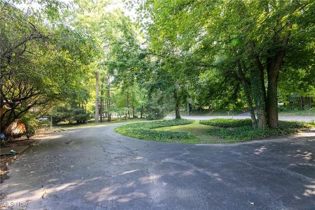 5241 Som Center Rd, Solon, OH 44139 - photo 44