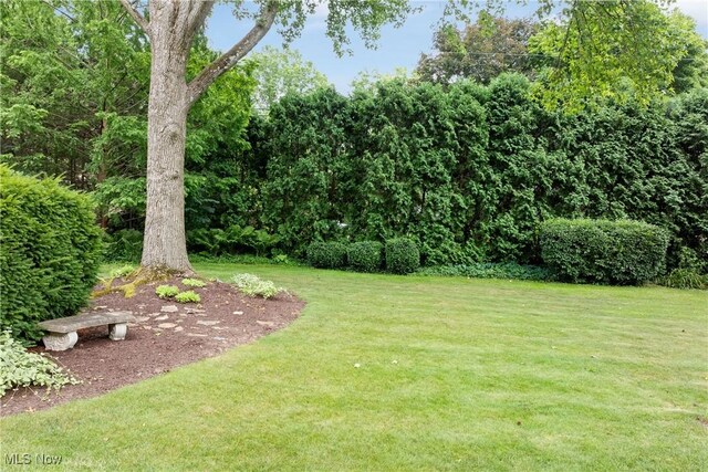 1535 Morgan St, Wooster, OH 44691 - photo 38