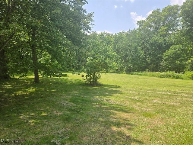 3005 Moore Ave SE, Canton, OH 44707 - photo 5
