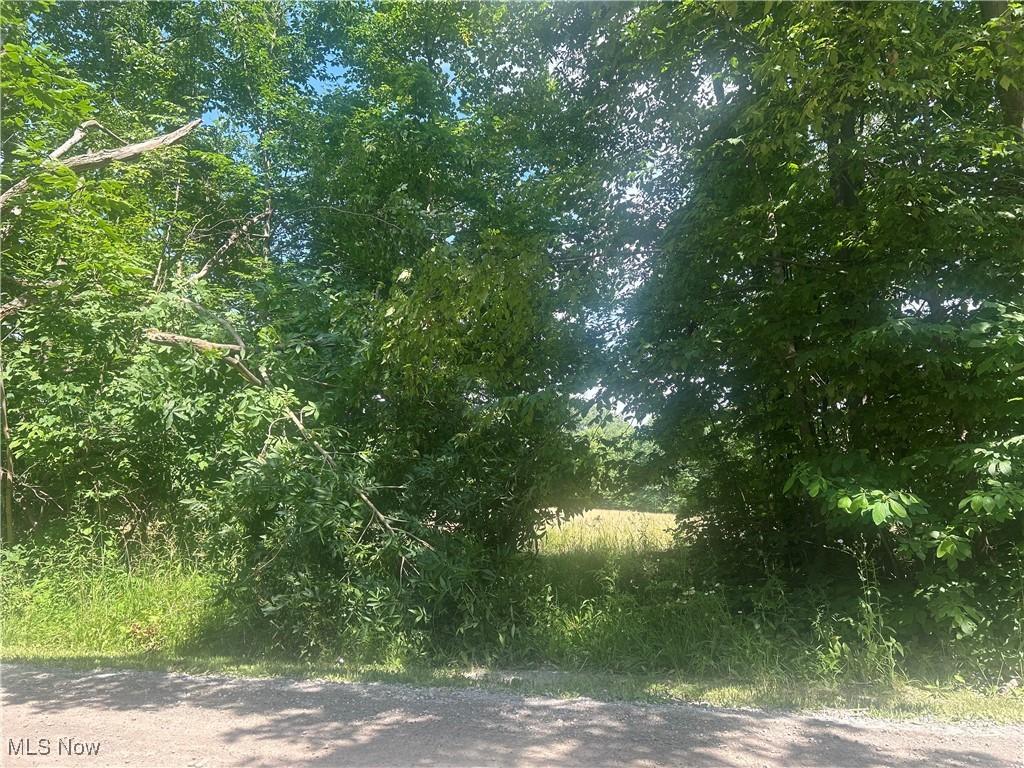 Owen Rd, Middlefield, OH 44062 - photo 1