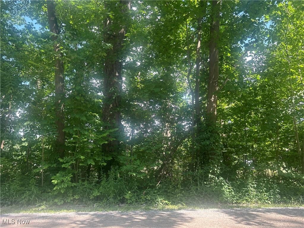 Owen Rd, Middlefield, OH 44062 - photo 2