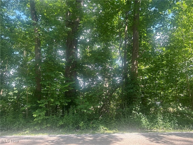 Owen Rd, Middlefield, OH 44062 - photo 2