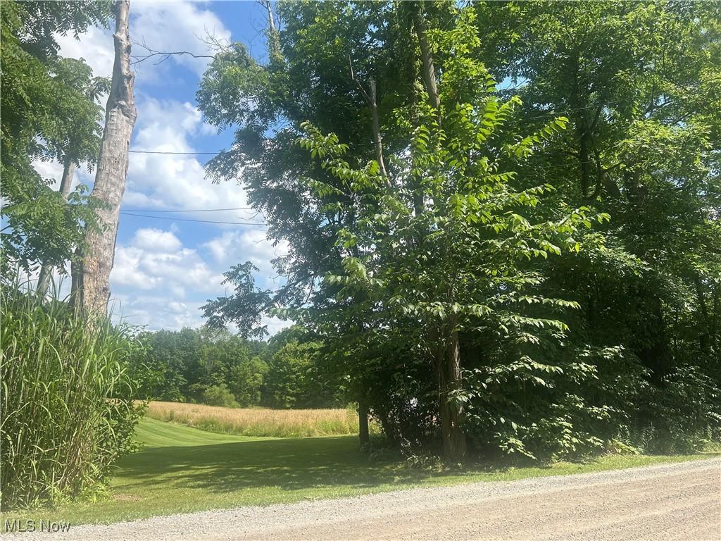 Owen Rd, Middlefield, OH 44062 - photo 3