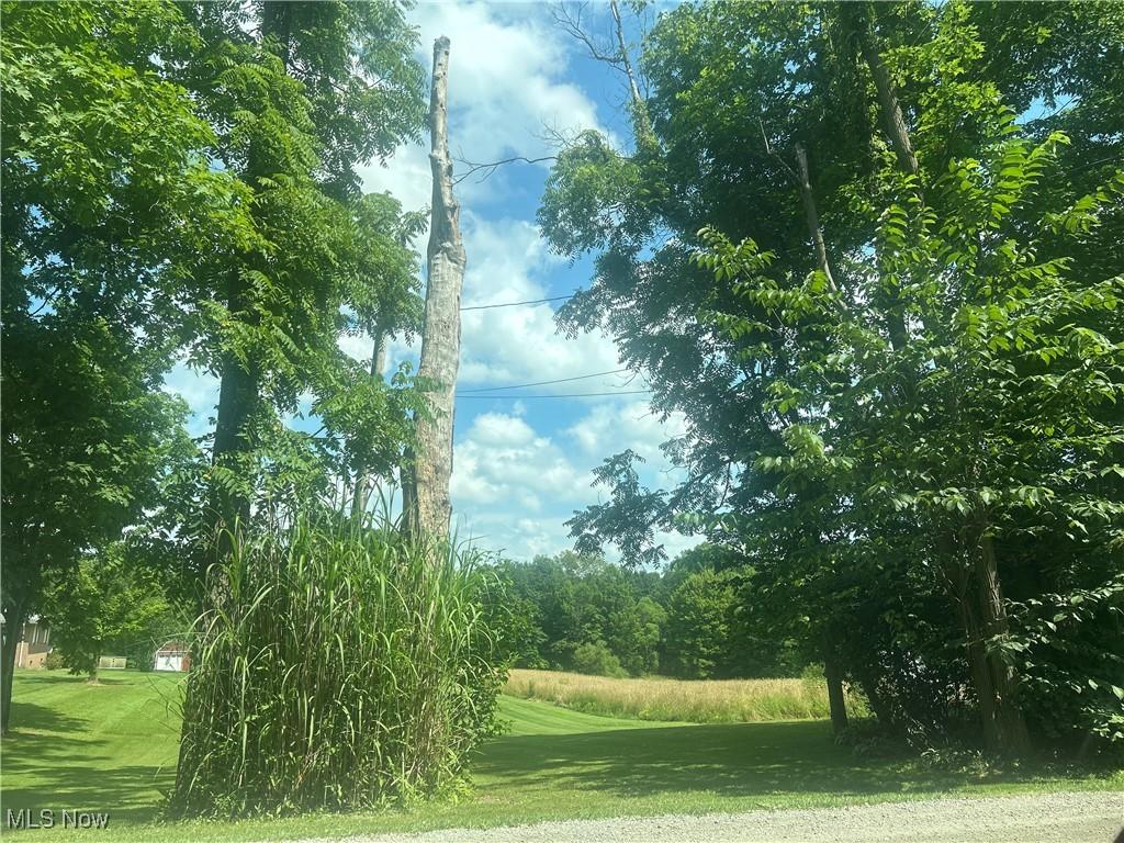 Owen Rd, Middlefield, OH 44062 - photo 4