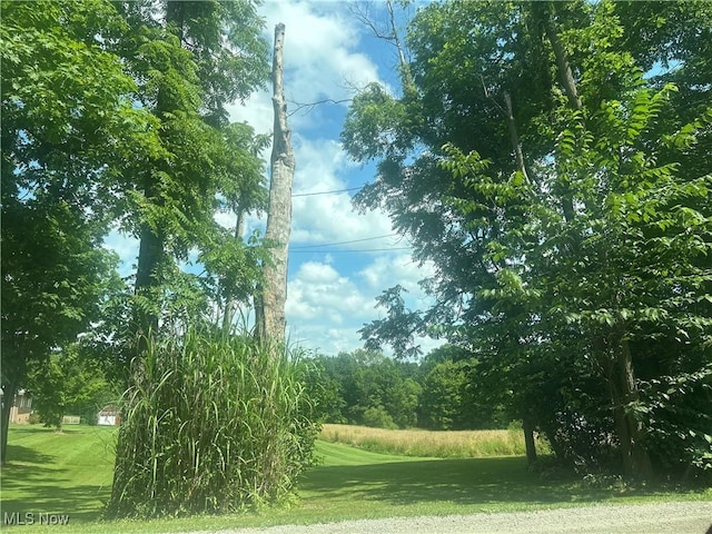 Owen Rd, Middlefield, OH 44062 - photo 4