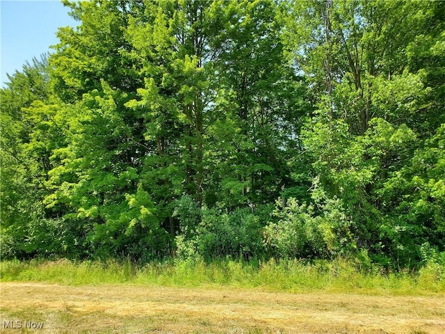Munn Rd, Chagrin Falls, OH 44023 - photo 1