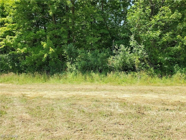 Munn Rd, Chagrin Falls, OH 44023 - photo 5