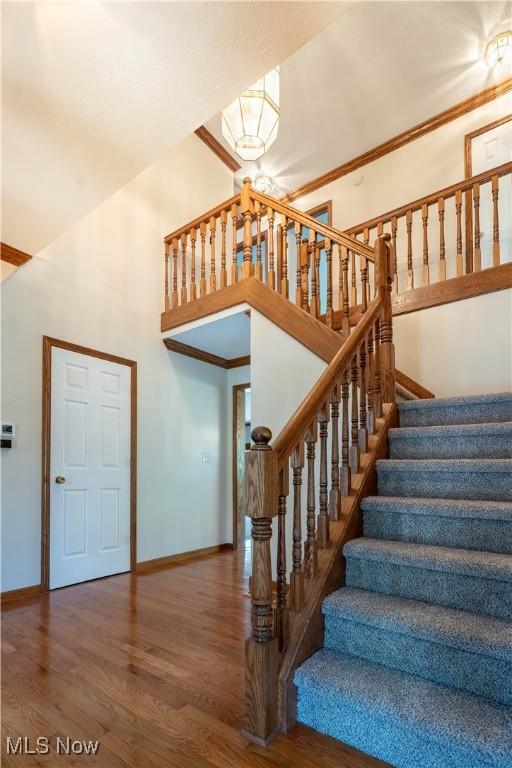 119 Alber Dr, Medina, OH 44256 - photo 23