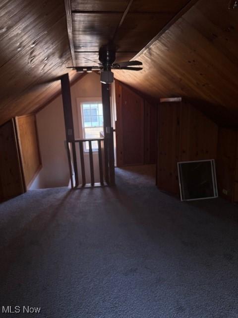 3923 Orchard Rd, Cleveland Heights, OH 44121 - photo 19