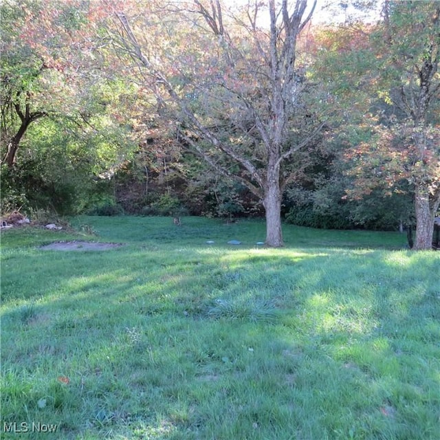 1219 Steubenville Rd SE, Carrollton, OH 44615 - photo 18