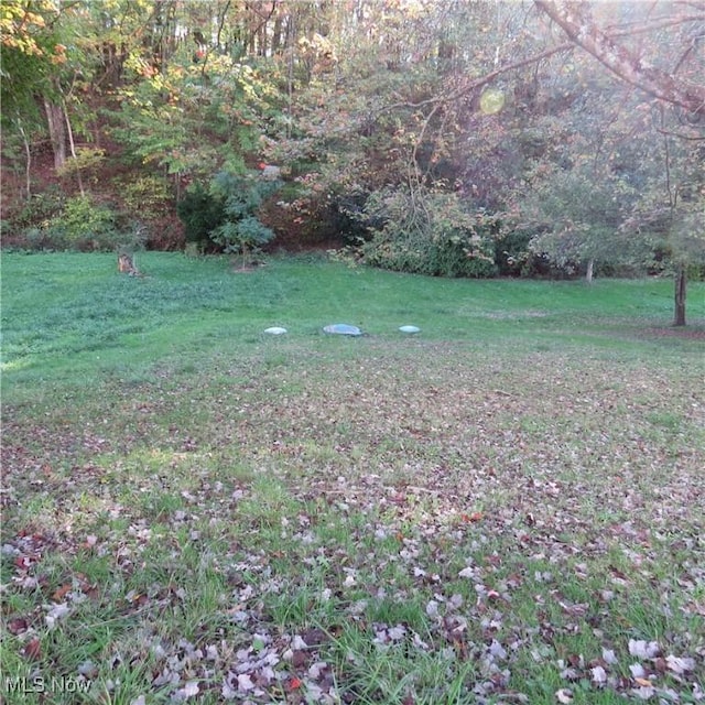 1219 Steubenville Rd SE, Carrollton, OH 44615 - photo 19