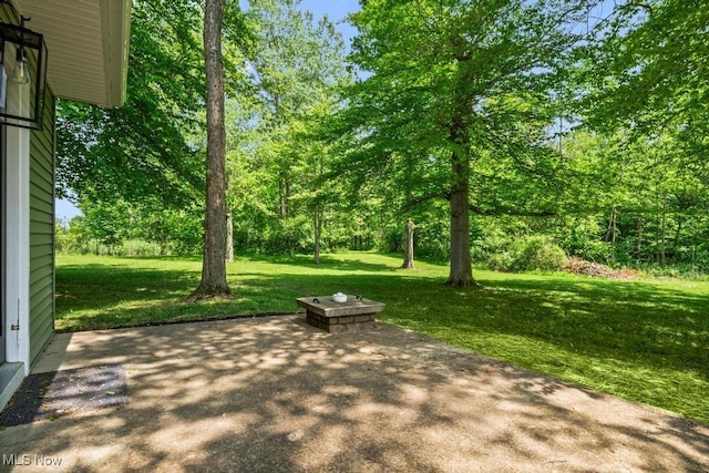 6730 Stone Rd, Medina, OH 44256 - photo 41