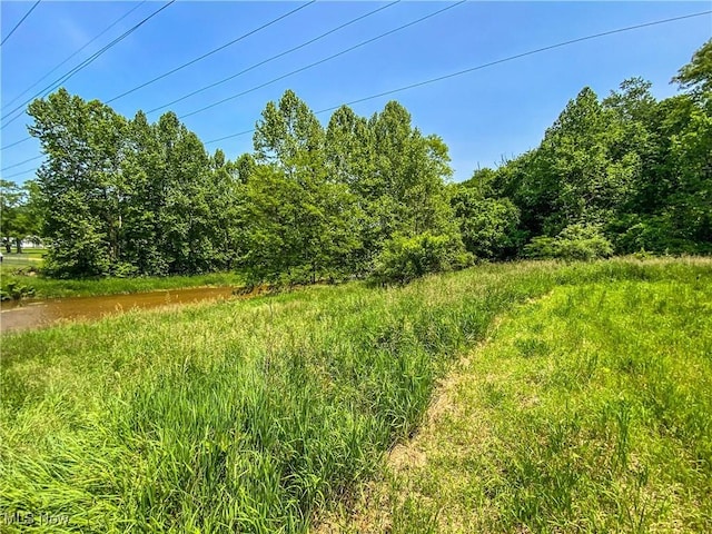0 Dolezal Rd, Dillonvale, OH 43917 - photo 3
