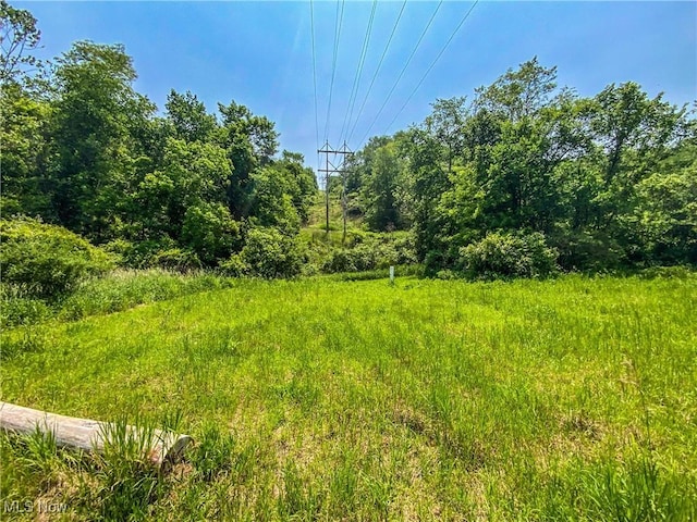 0 Dolezal Rd, Dillonvale, OH 43917 - photo 4
