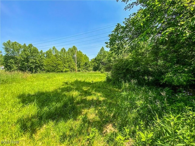 0 Dolezal Rd, Dillonvale, OH 43917 - photo 5