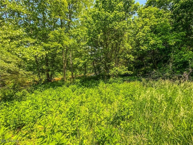 0 Dolezal Rd, Dillonvale, OH 43917 - photo 6