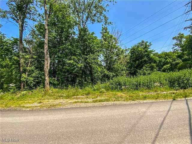 0 Dolezal Rd, Dillonvale, OH 43917 - photo 8