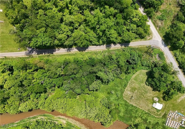 0 Dolezal Rd, Dillonvale, OH 43917 - photo 13